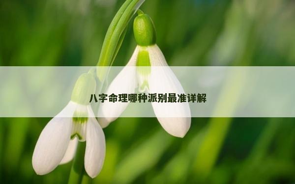八字命理哪种派别最准详解