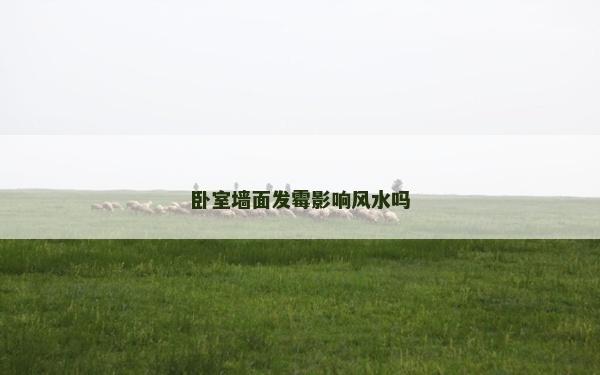 卧室墙面发霉影响风水吗