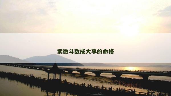 紫微斗数成大事的命格