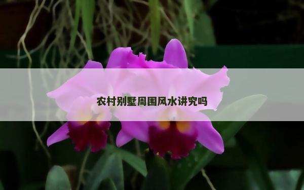 农村别墅周围风水讲究吗