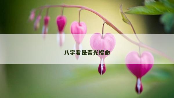 八字看是否光棍命