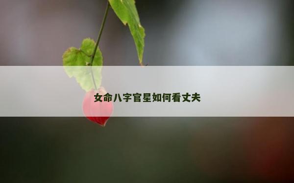 女命八字官星如何看丈夫