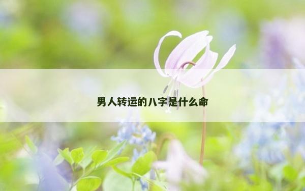 男人转运的八字是什么命