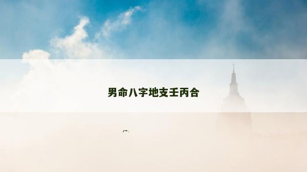 男命八字地支壬丙合