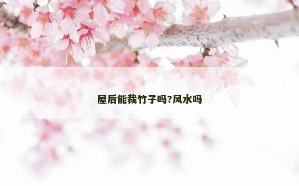 屋后能裁竹子吗?风水吗