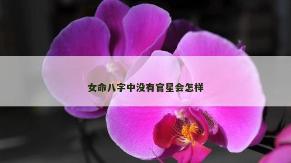 女命八字中没有官星会怎样