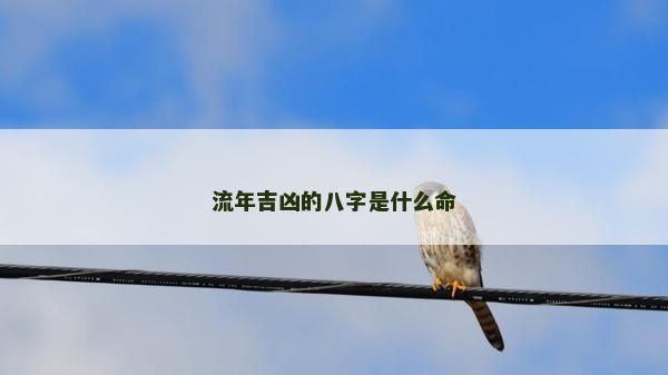 流年吉凶的八字是什么命