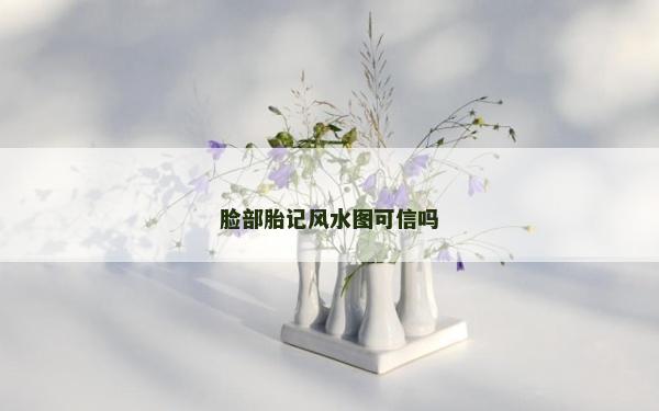 脸部胎记风水图可信吗