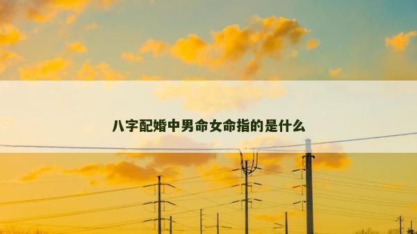 八字配婚中男命女命指的是什么
