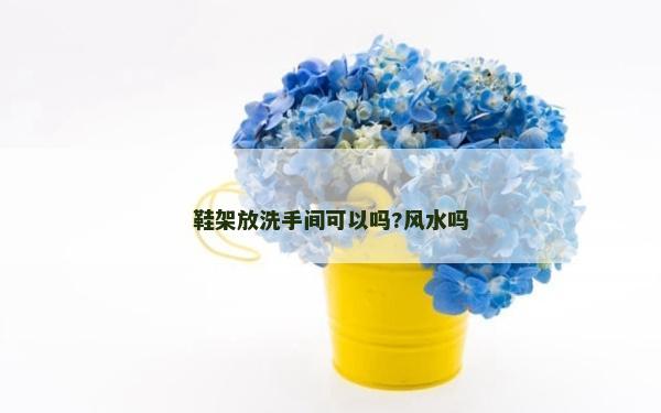 鞋架放洗手间可以吗?风水吗