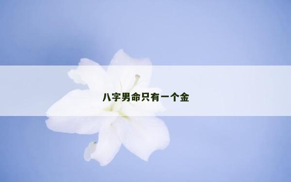 八字男命只有一个金