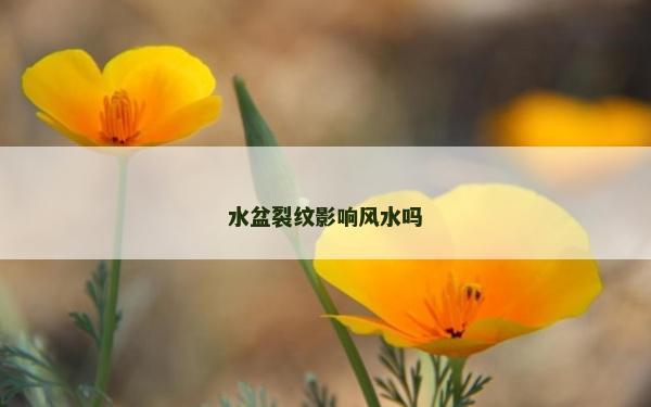 水盆裂纹影响风水吗