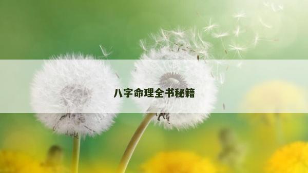 八字命理全书秘籍
