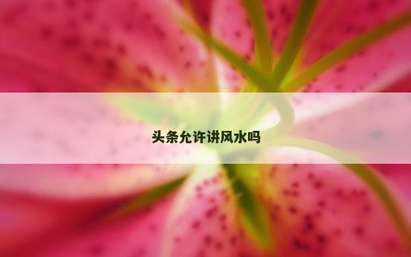 头条允许讲风水吗