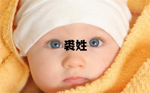 裘姓有智慧才气的男孩名字