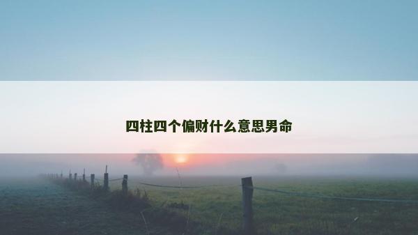 四柱四个偏财什么意思男命