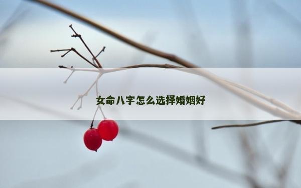女命八字怎么选择婚姻好