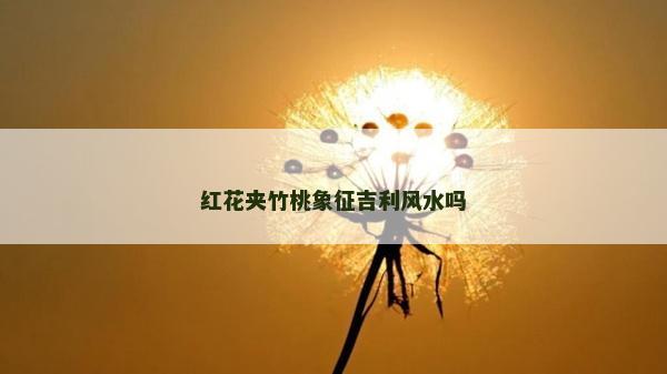 红花夹竹桃象征吉利风水吗