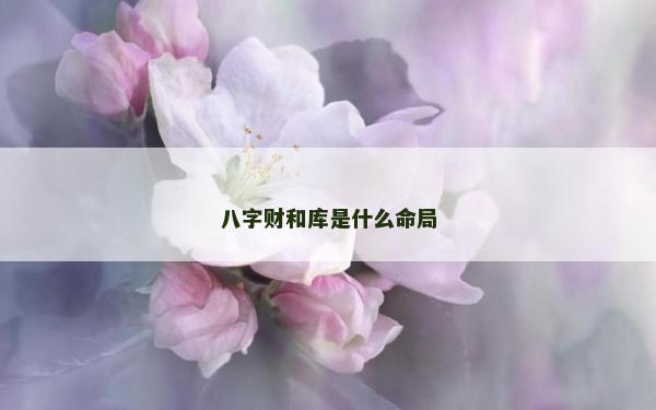 八字财和库是什么命局
