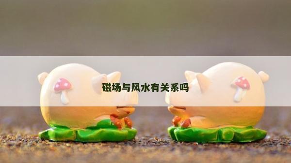 磁场与风水有关系吗
