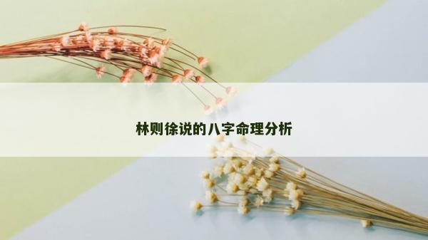 林则徐说的八字命理分析