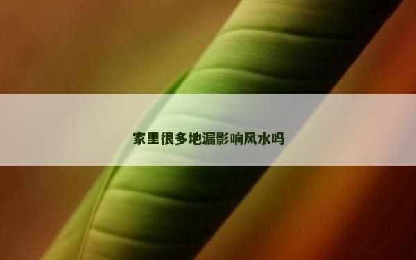 家里很多地漏影响风水吗