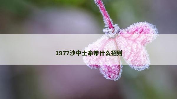 1977沙中土命带什么招财