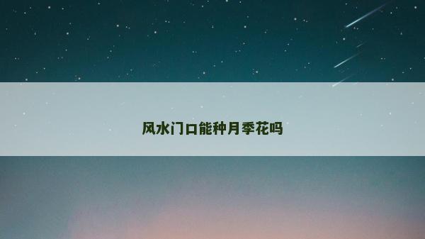 风水门口能种月季花吗