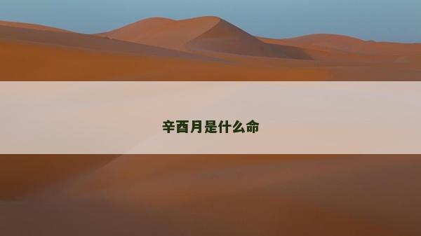 辛酉月是什么命