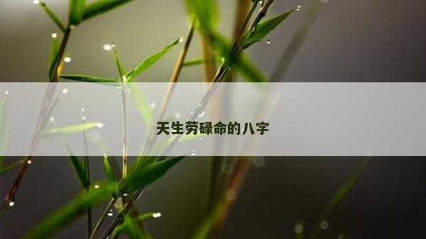 天生劳碌命的八字