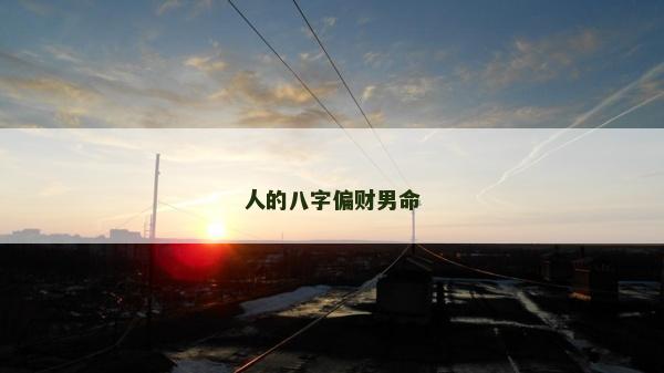 人的八字偏财男命
