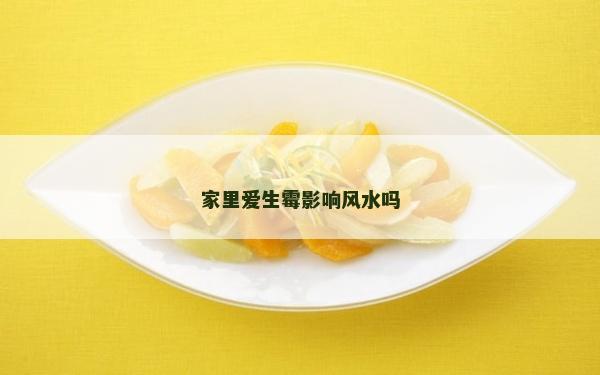 家里爱生霉影响风水吗