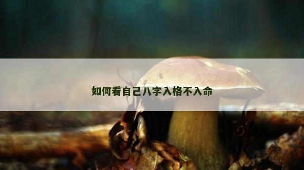 如何看自己八字入格不入命