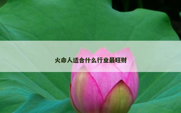 火命人适合什么行业最旺财