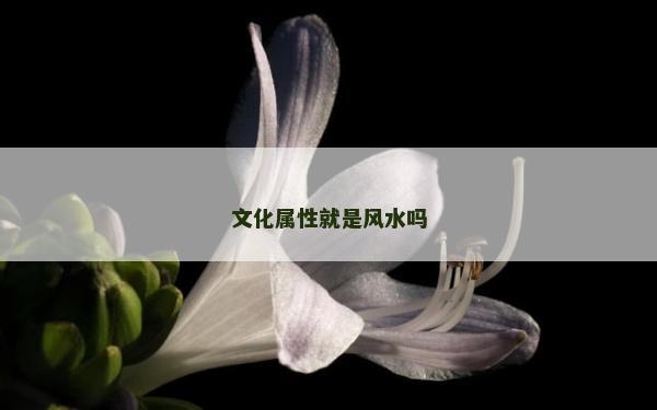 文化属性就是风水吗