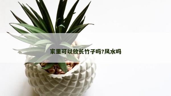 家里可以放长竹子吗?风水吗