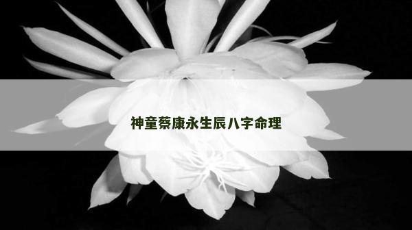 神童蔡康永生辰八字命理