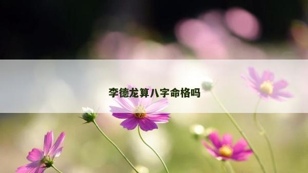 李德龙算八字命格吗
