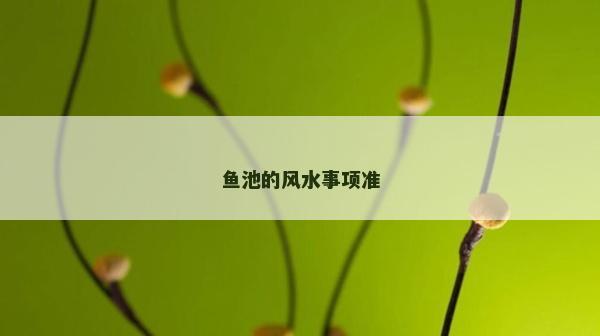 鱼池的风水事项准