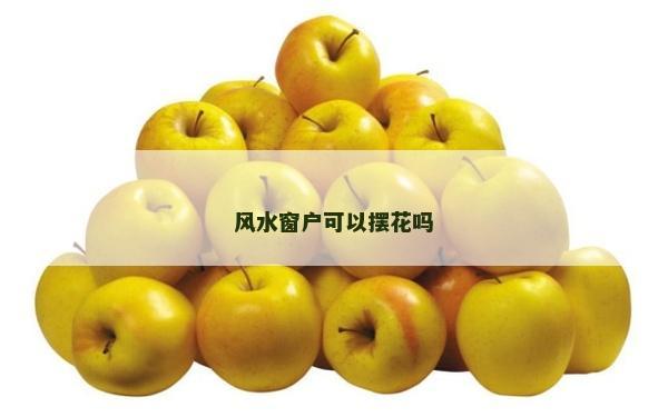 风水窗户可以摆花吗