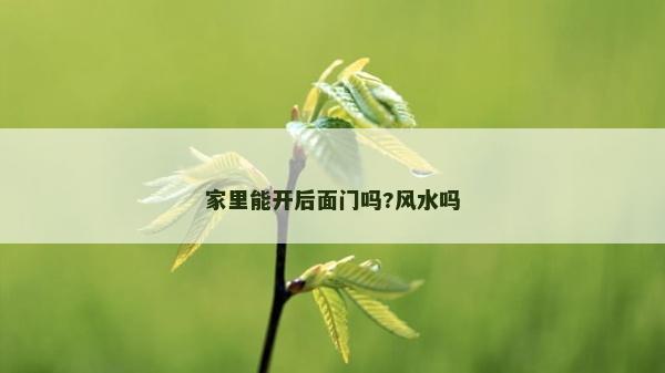 家里能开后面门吗?风水吗