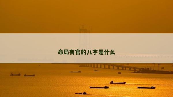 命局有官的八字是什么