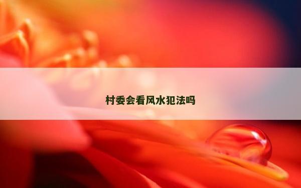 村委会看风水犯法吗
