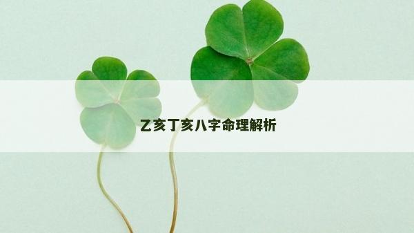 乙亥丁亥八字命理解析