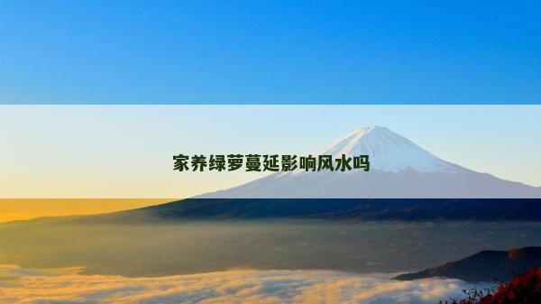 家养绿萝蔓延影响风水吗