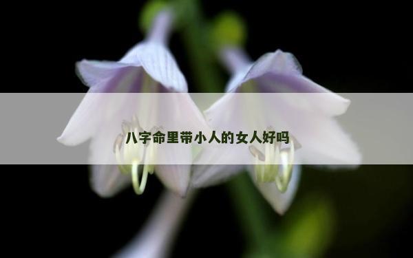 八字命里带小人的女人好吗