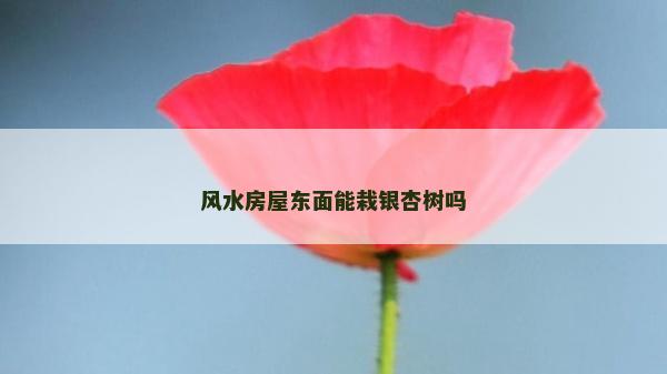 风水房屋东面能栽银杏树吗