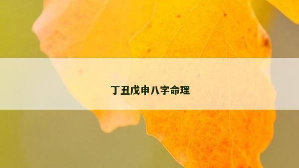 丁丑戊申八字命理