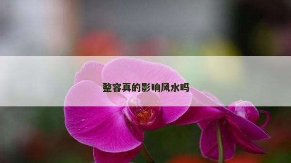 整容真的影响风水吗