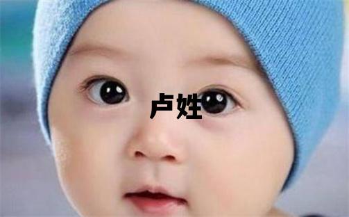 卢姓取名冷门独特的男宝宝名字